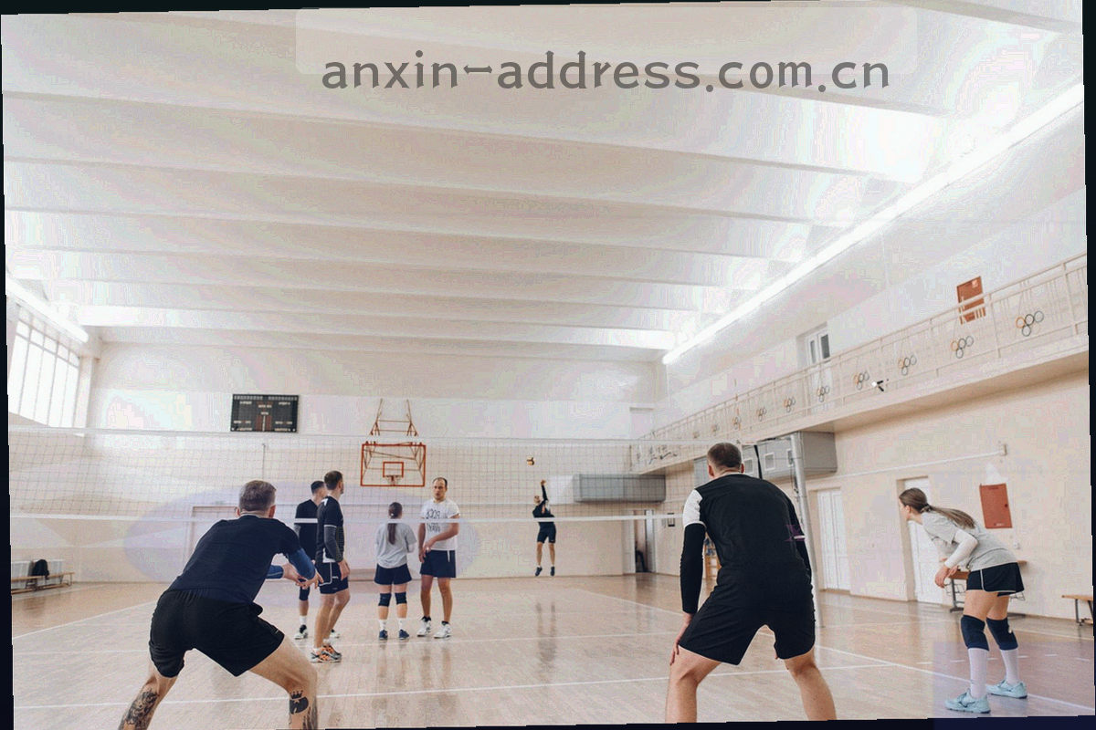 十二类售后政策分类标签以网格排列的抽象信息图形，深墨绿底色配暖金描边